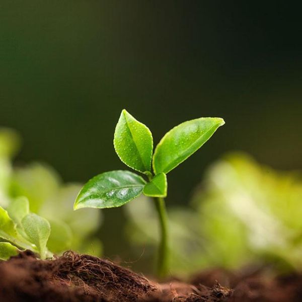 首頁永續專區標題